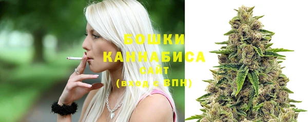 стаф Карпинск