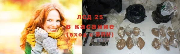 стаф Карпинск