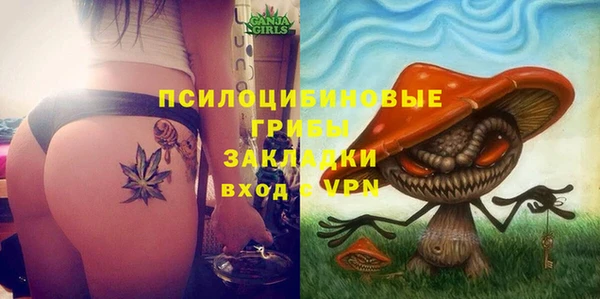 стаф Карпинск