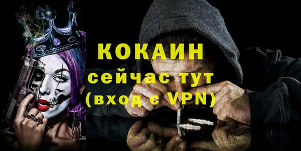 винт Касимов