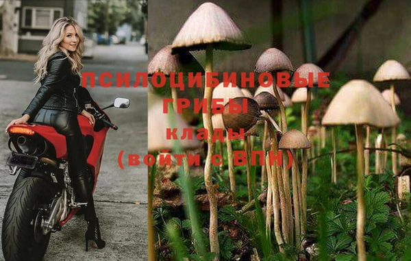 стаф Карпинск