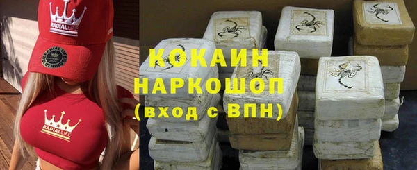 стаф Карпинск