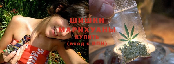 винт Касимов