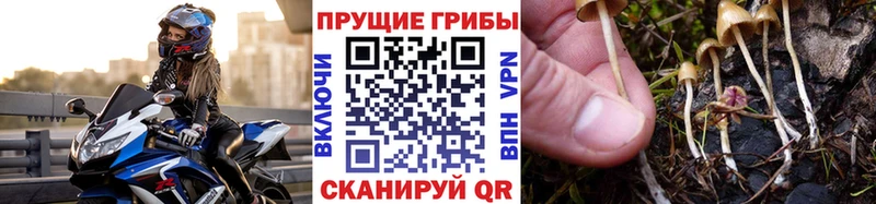 Псилоцибиновые грибы прущие грибы  Купить закладки  Калязин 